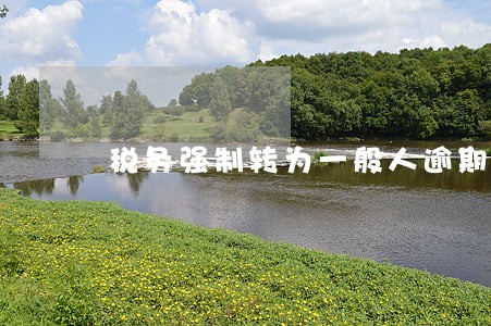 税务强制转为一般人逾期未登记 税务强制转为一般人逾期未登记