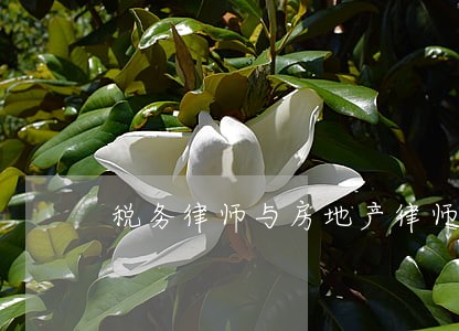 税务律师与房地产律师 税务律师与房地产律师