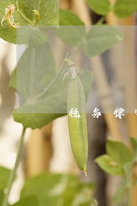 税务律师怎么拓展案源 税务律师怎么拓展案源