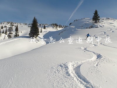 税务怎么查逾期申报 税务怎么查逾期申报