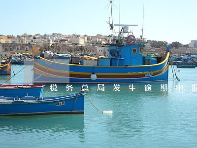 税务总局发生逾期申报 税务总局发生逾期申报