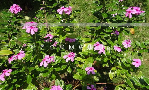税务总局回应逾期