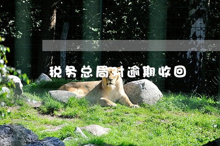 税务总局对逾期收回 税务总局对逾期收回