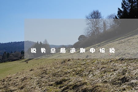 税务总局逾期申报税 税务总局逾期申报税