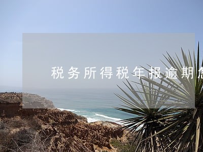 税务所得税年报逾期怎么处罚