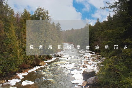 税务所报税季度逾期罚多少钱 税务所报税季度逾期罚多少钱