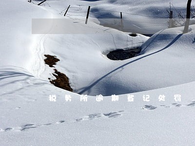 税务所逾期登记处罚 税务所逾期登记处罚
