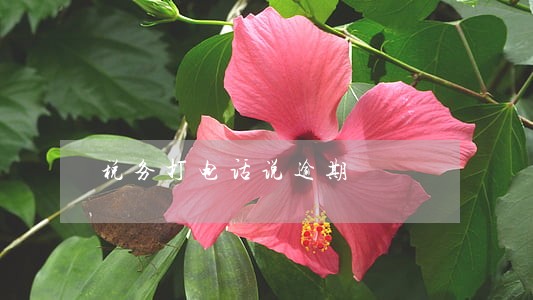 税务打电话说逾期