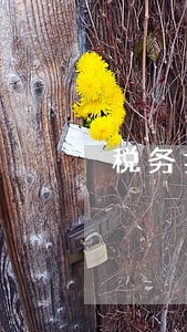税务扣款逾期怎么算 税务扣款逾期怎么算