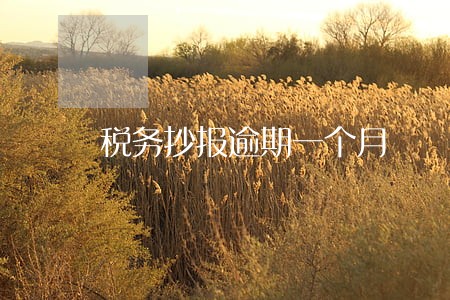 税务抄报逾期一个月 税务抄报逾期一个月