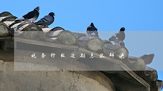税务抄报逾期怎么解决 税务抄报逾期怎么解决