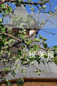税务报到流程逾期 税务报到流程逾期