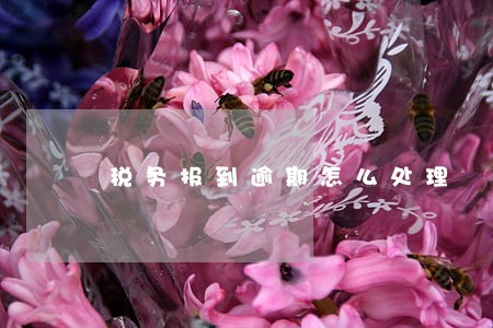 税务报到逾期怎么处理 税务报到逾期怎么处理