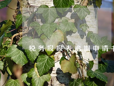 税务报报表逾期申请书 税务报报表逾期申请书