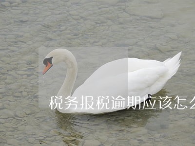 税务报税逾期应该怎么处理 税务报税逾期应该怎么处理