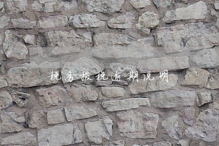 税务报税逾期说明 税务报税逾期说明