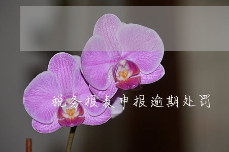 税务报表申报逾期处罚 税务报表申报逾期处罚