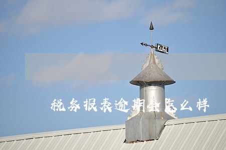 税务报表逾期会怎么样