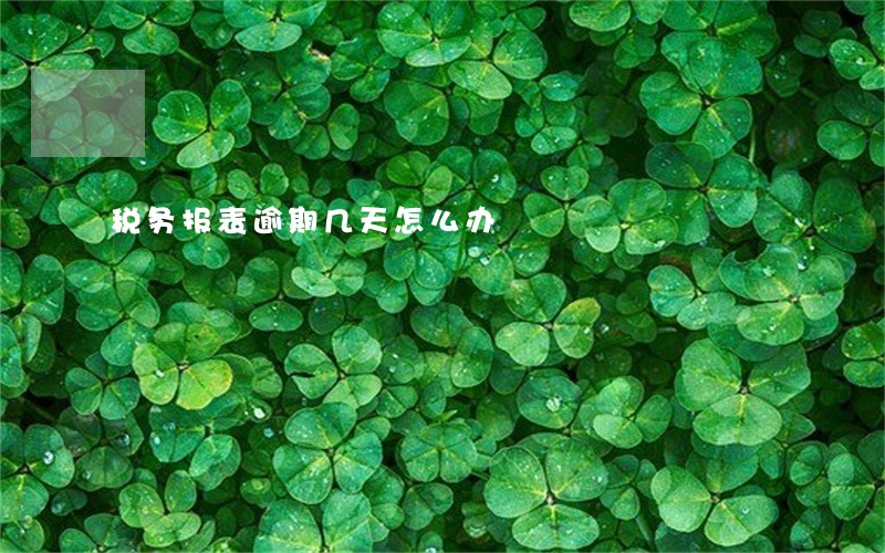 税务报表逾期几天怎么办 税务报表逾期几天怎么办
