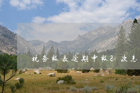 税务报表逾期申报2次怎么办 税务报表逾期申报2次怎么办