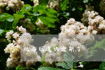 税务报道快逾期了 税务报道快逾期了