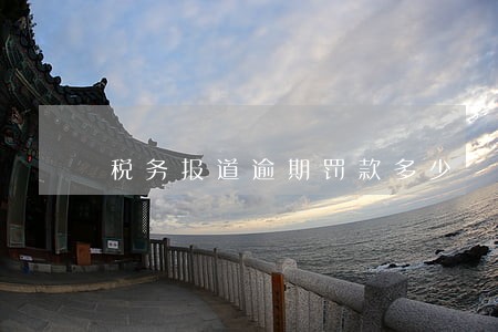 税务报道逾期罚款多少 税务报道逾期罚款多少