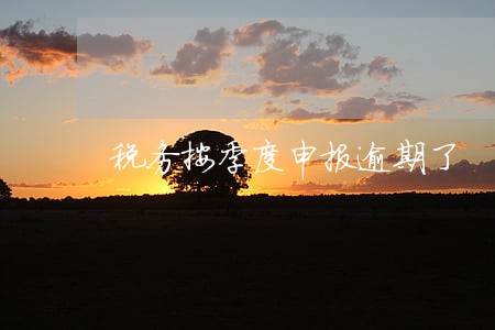 税务按季度申报逾期了 税务按季度申报逾期了