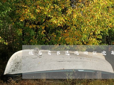 税务文书送达回证逾期销号 税务文书送达回证逾期销号