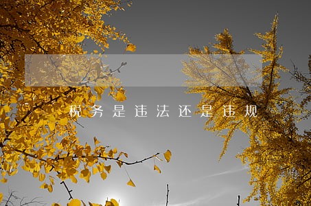 税务是违法还是违规