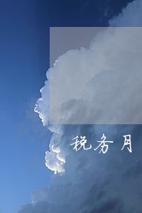 税务月申报逾期怎么处理 税务月申报逾期怎么处理