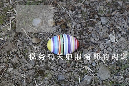 税务有关申报逾期的规定 税务有关申报逾期的规定