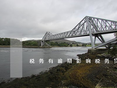 税务有逾期影响税务贷吗 税务有逾期影响税务贷吗