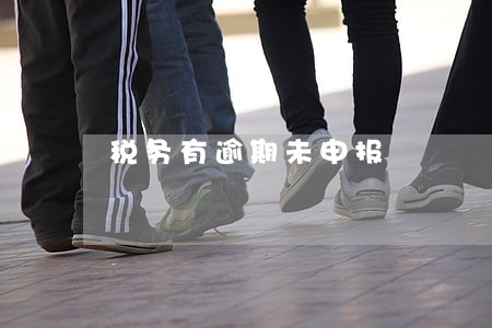 税务有逾期未申报 税务有逾期未申报