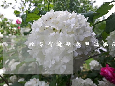 税务有逾期未申报能注销吗 税务有逾期未申报能注销吗