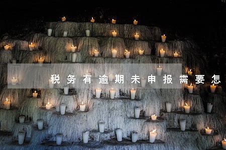 税务有逾期未申报需要怎么办 税务有逾期未申报需要怎么办
