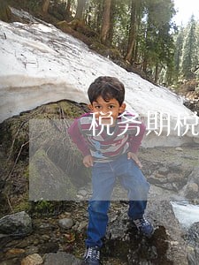 税务期税逾期有什么影响还吗 税务期税逾期有什么影响还吗