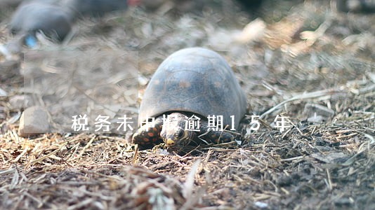 税务未申报逾期15年 税务未申报逾期15年