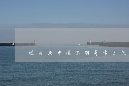 税务未申报逾期异常了怎么处理