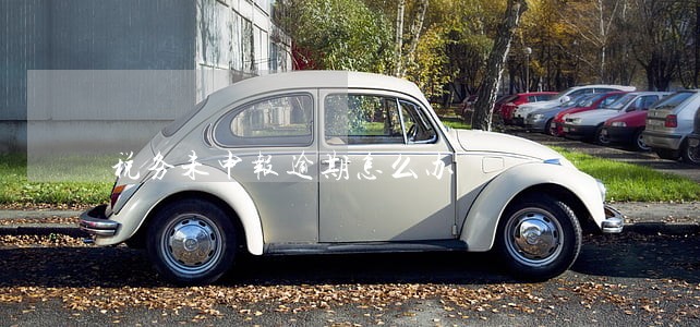 税务未申报逾期怎么办 税务未申报逾期怎么办