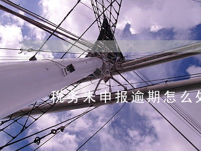 税务未申报逾期怎么处罚 税务未申报逾期怎么处罚