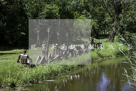 税务未逾期申报最低罚款多少钱 税务未逾期申报最低罚款多少钱