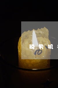 税务机关二次逾期处罚信息