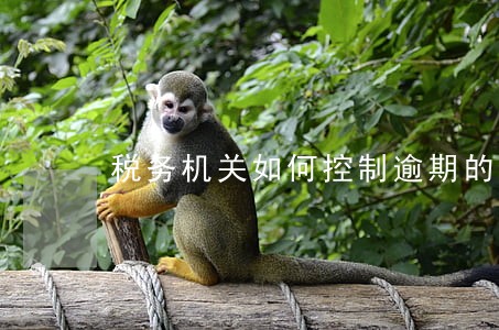 税务机关如何控制逾期的额度 税务机关如何控制逾期的额度