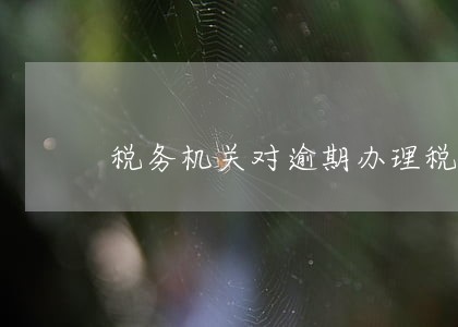 税务机关对逾期办理税务登记 税务机关对逾期办理税务登记