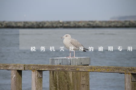 税务机关批准的逾期专用发票 税务机关批准的逾期专用发票