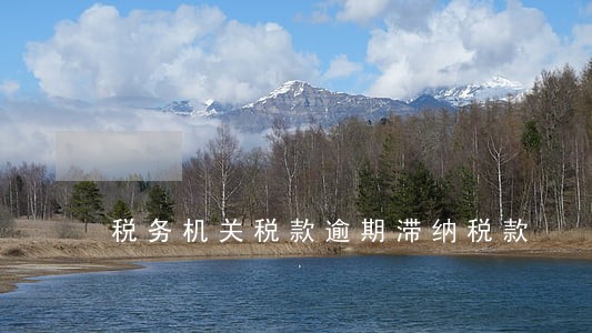 税务机关税款逾期滞纳税款 税务机关税款逾期滞纳税款
