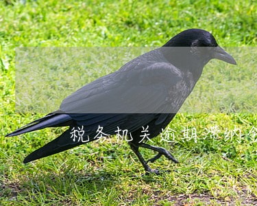 税务机关逾期滞纳金 税务机关逾期滞纳金
