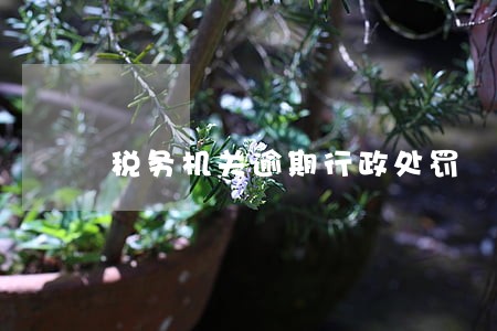 税务机关逾期行政处罚 税务机关逾期行政处罚