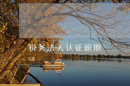 税务法人认证逾期