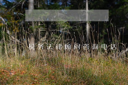 税务法律顾问咨询电话 税务法律顾问咨询电话